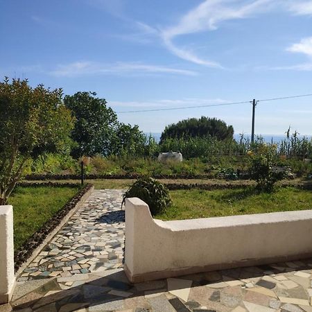 Casa De Somma Appartement Forio di Ischia Buitenkant foto