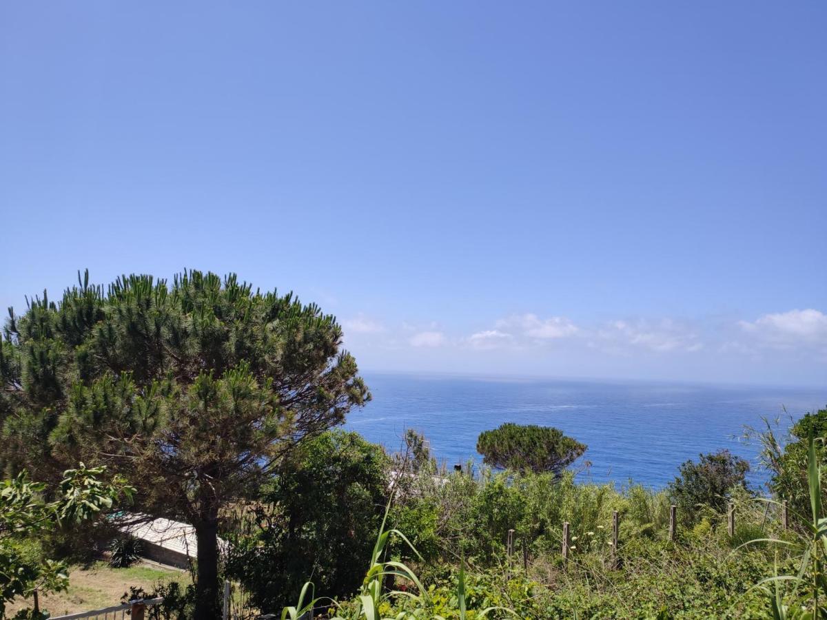 Casa De Somma Appartement Forio di Ischia Buitenkant foto